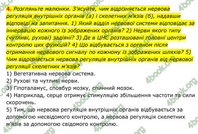 ГДЗ Біологія 8 клас Тагліна (2025)