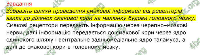 ГДЗ Біологія 8 клас Тагліна (2025)