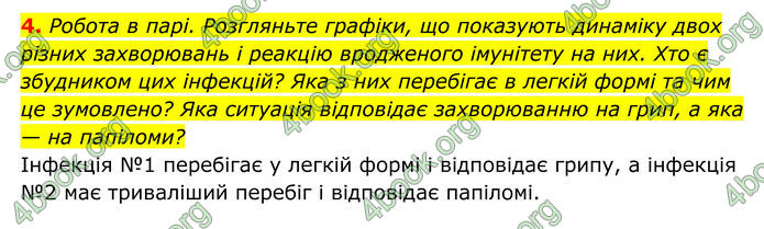 ГДЗ Біологія 8 клас Тагліна (2025)
