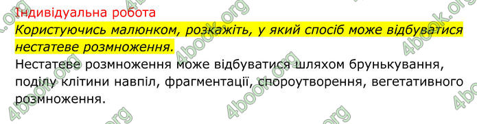 ГДЗ Біологія 8 клас Тагліна (2025)
