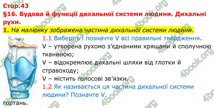 ГДЗ Зошит Біологія 8 клас Тагліна (2025)
