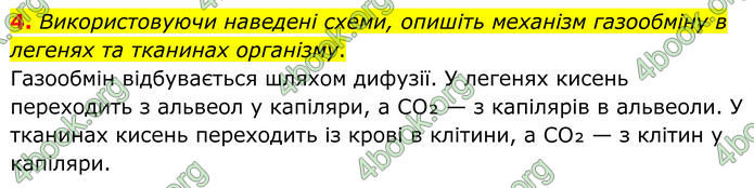 ГДЗ Зошит Біологія 8 клас Тагліна (2025)