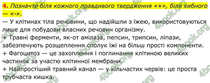 ГДЗ Зошит Біологія 8 клас Тагліна (2025)