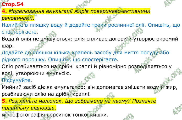 ГДЗ Зошит Біологія 8 клас Тагліна (2025)