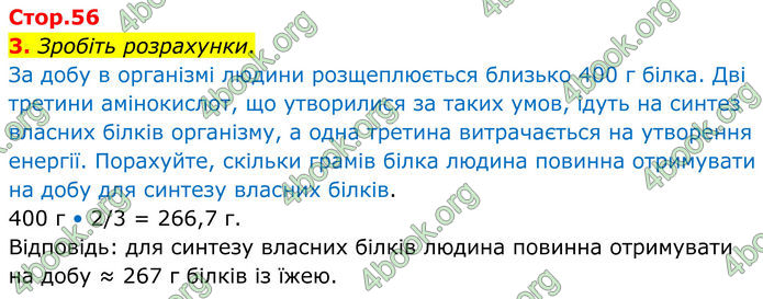 ГДЗ Зошит Біологія 8 клас Тагліна (2025)