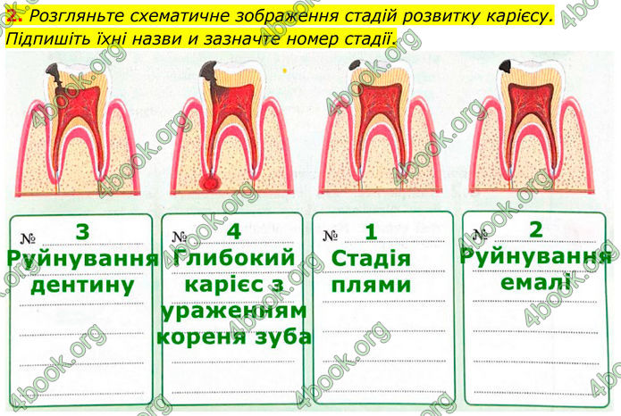 ГДЗ Зошит Біологія 8 клас Тагліна (2025)