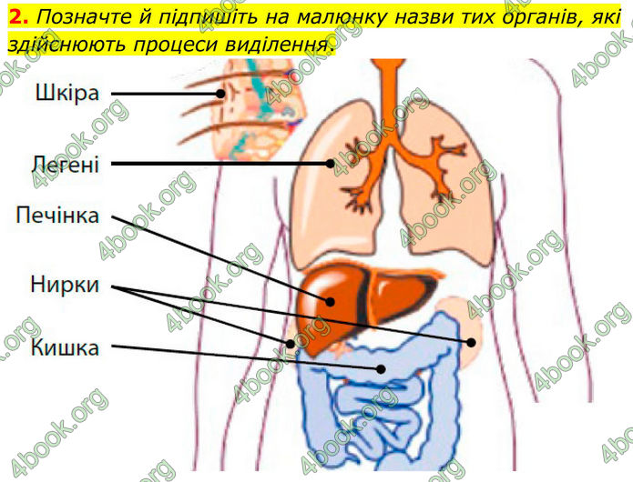 ГДЗ Зошит Біологія 8 клас Тагліна (2025)