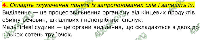 ГДЗ Зошит Біологія 8 клас Тагліна (2025)