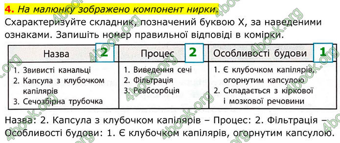 ГДЗ Зошит Біологія 8 клас Тагліна (2025)