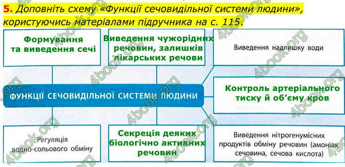 ГДЗ Зошит Біологія 8 клас Тагліна (2025)