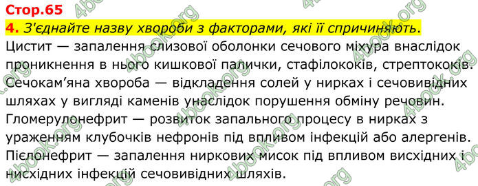 ГДЗ Зошит Біологія 8 клас Тагліна (2025)