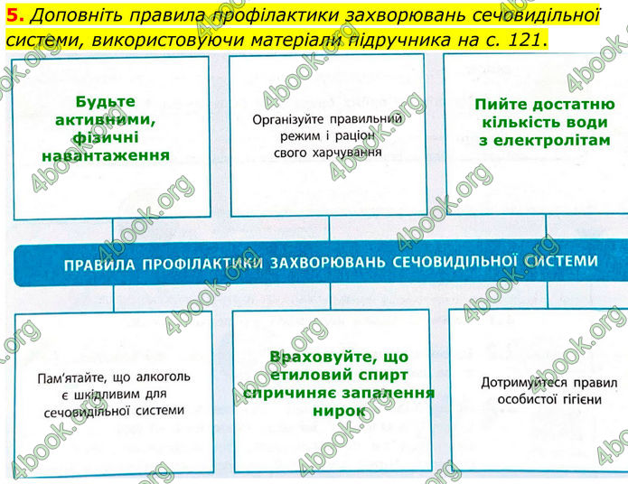 ГДЗ Зошит Біологія 8 клас Тагліна (2025)