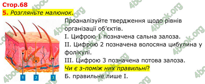ГДЗ Зошит Біологія 8 клас Тагліна (2025)