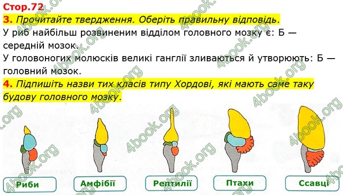ГДЗ Зошит Біологія 8 клас Тагліна (2025)