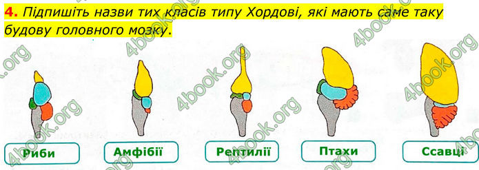 ГДЗ Зошит Біологія 8 клас Тагліна (2025)