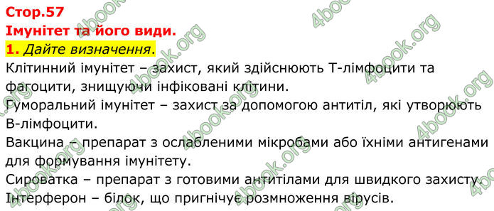 ГДЗ Зошит Біологія 8 клас Кулініч (2025)