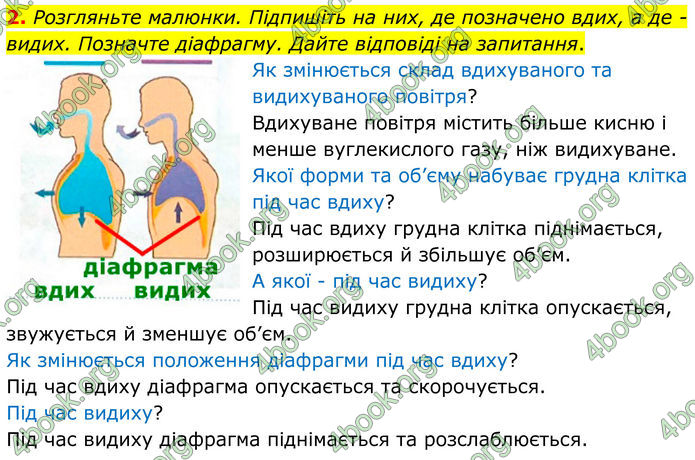 ГДЗ Зошит Біологія 8 клас Кулініч (2025)