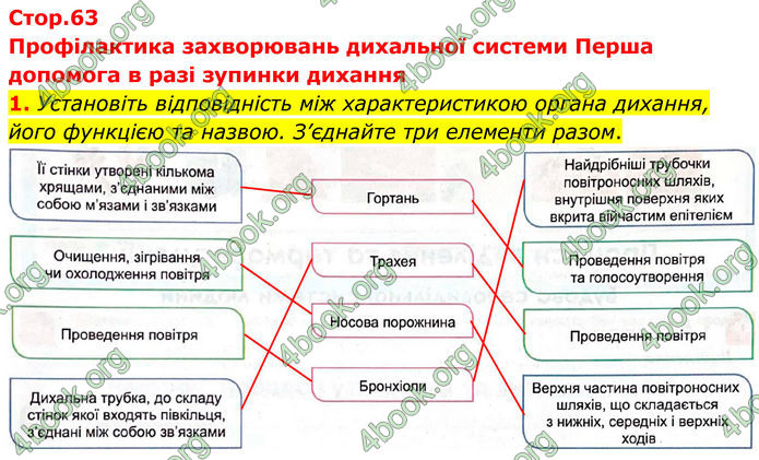 ГДЗ Зошит Біологія 8 клас Кулініч (2025)