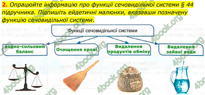 ГДЗ Зошит Біологія 8 клас Кулініч (2025)