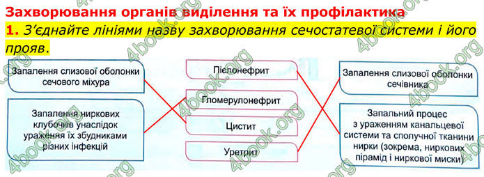 ГДЗ Зошит Біологія 8 клас Кулініч (2025)