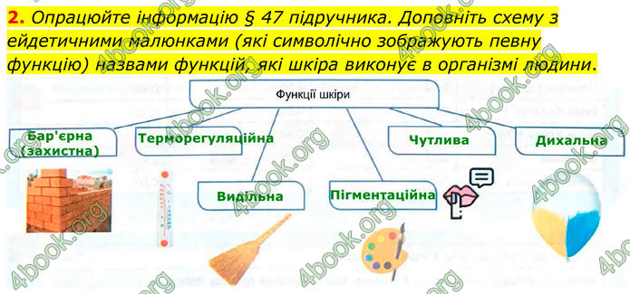 ГДЗ Зошит Біологія 8 клас Кулініч (2025)