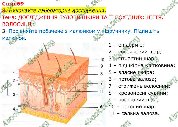 ГДЗ Зошит Біологія 8 клас Кулініч (2025)