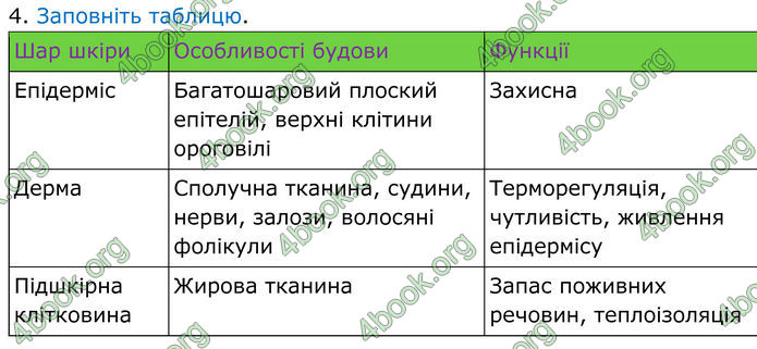 ГДЗ Зошит Біологія 8 клас Кулініч (2025)