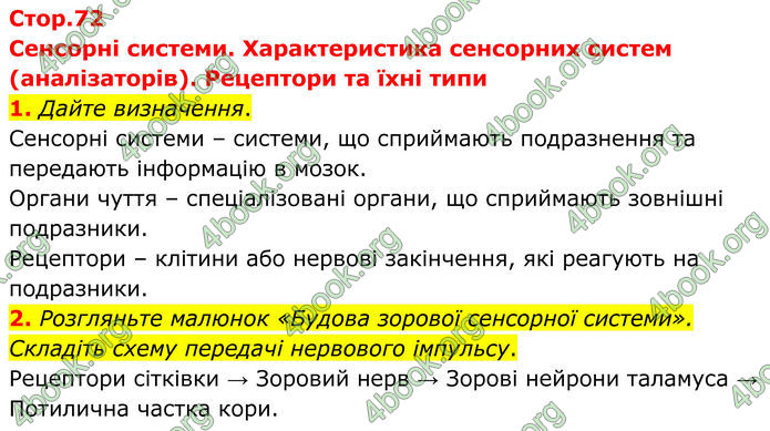 ГДЗ Зошит Біологія 8 клас Кулініч (2025)