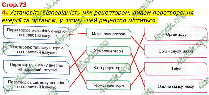 ГДЗ Зошит Біологія 8 клас Кулініч (2025)