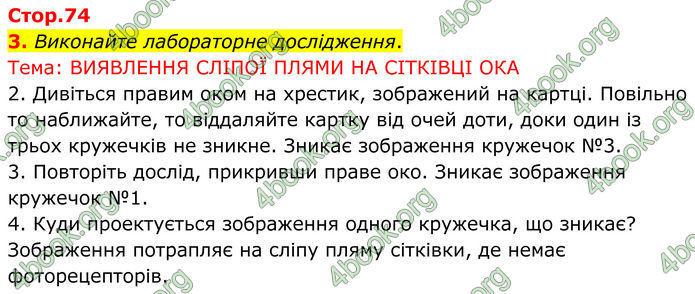 ГДЗ Зошит Біологія 8 клас Кулініч (2025)