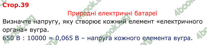 ГДЗ Зошит Фізика 8 клас Божинова (2025)