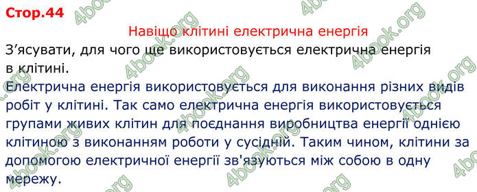 ГДЗ Зошит Фізика 8 клас Божинова (2025)