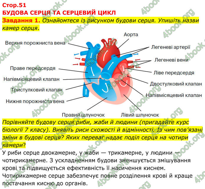 ГДЗ зошит з біології 8 клас Андерсон 2025