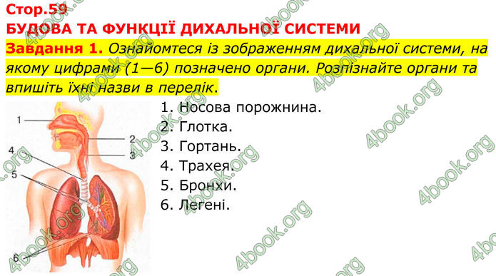 ГДЗ зошит з біології 8 клас Андерсон 2025
