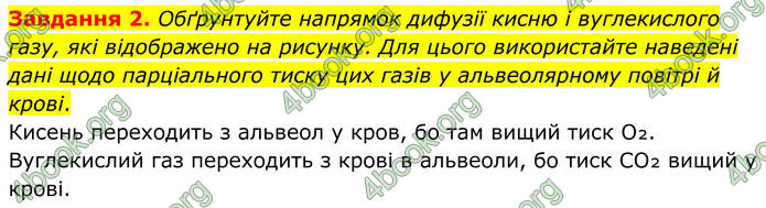 ГДЗ зошит з біології 8 клас Андерсон 2025