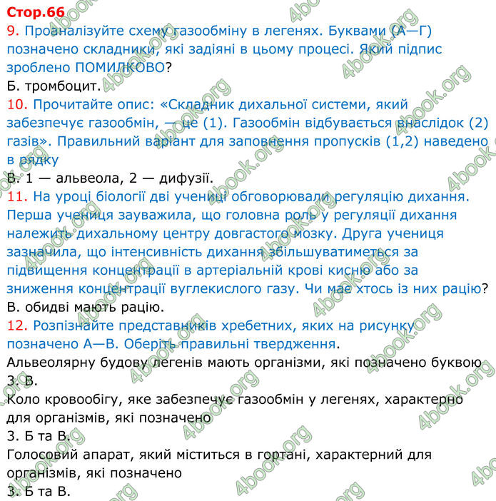 ГДЗ зошит з біології 8 клас Андерсон 2025 ГДЗ зошит з біології 8 клас Андерсон 2025
