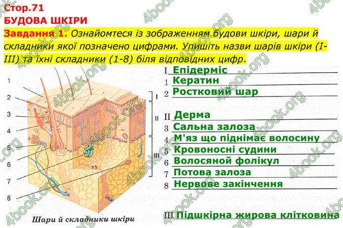 ГДЗ зошит з біології 8 клас Андерсон 2025
