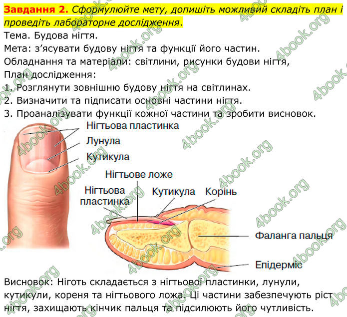 ГДЗ зошит з біології 8 клас Андерсон 2025