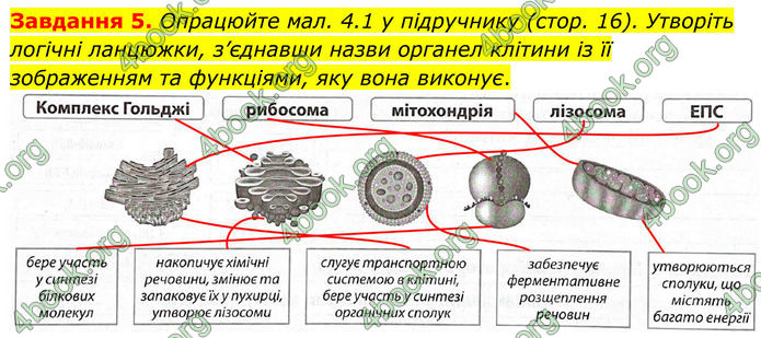 ГДЗ Робочий зошит біологія 8 клас Мирна (НУШ)