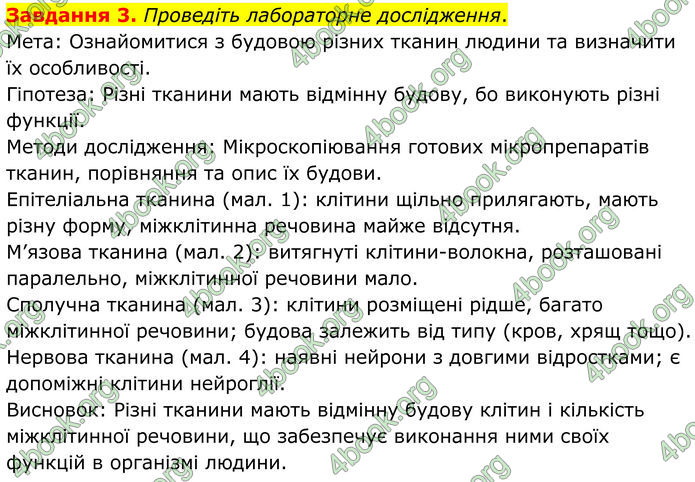 ГДЗ Робочий зошит біологія 8 клас Мирна (НУШ)