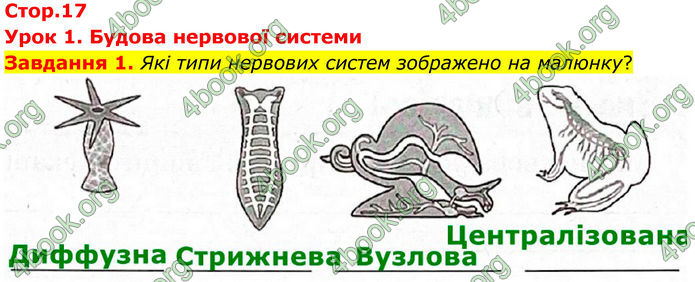 ГДЗ Робочий зошит біологія 8 клас Мирна (НУШ)