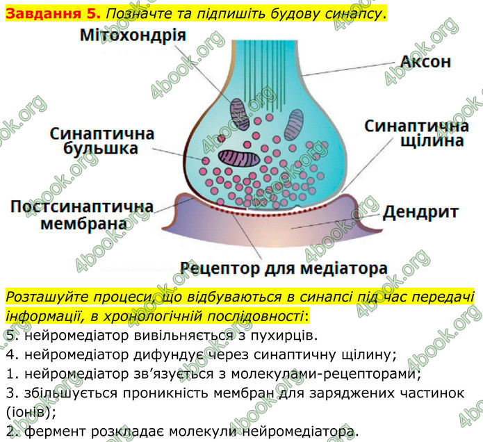 ГДЗ Робочий зошит біологія 8 клас Мирна (НУШ)