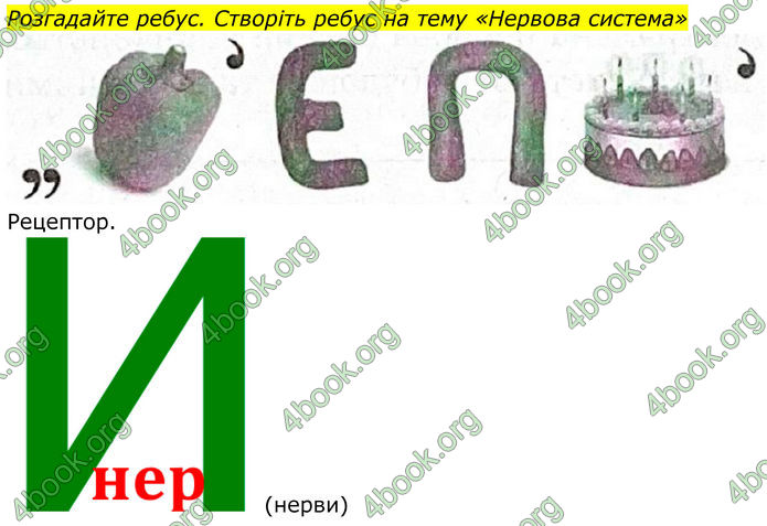 ГДЗ Робочий зошит біологія 8 клас Мирна (НУШ)