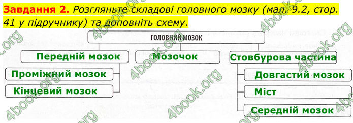 ГДЗ Робочий зошит біологія 8 клас Мирна (НУШ)