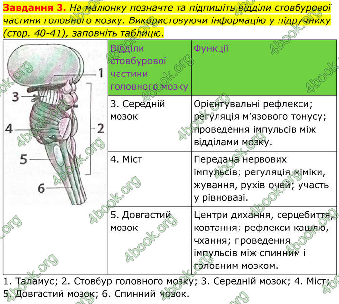 ГДЗ Робочий зошит біологія 8 клас Мирна (НУШ)