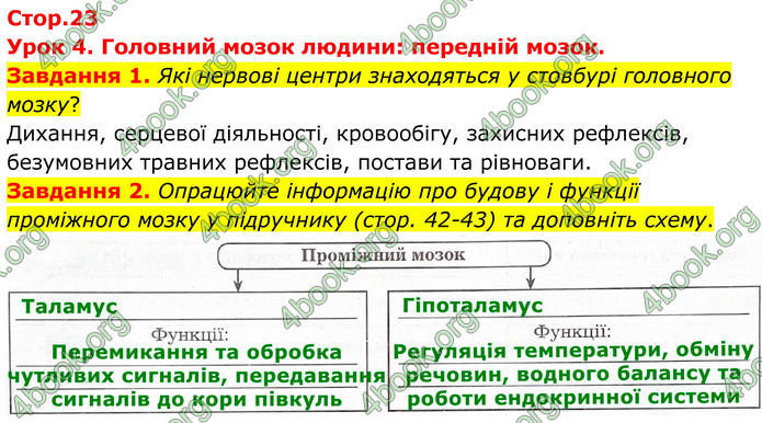 ГДЗ Робочий зошит біологія 8 клас Мирна (НУШ)