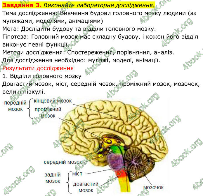 ГДЗ Робочий зошит біологія 8 клас Мирна (НУШ)