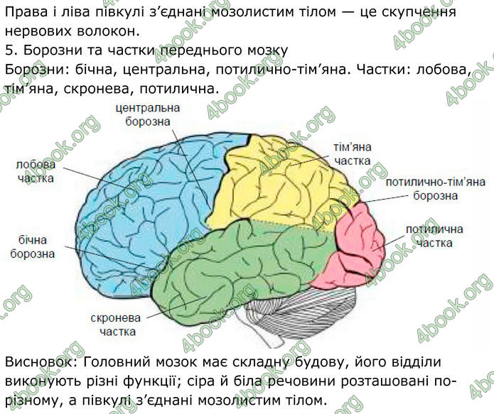 ГДЗ Робочий зошит біологія 8 клас Мирна (НУШ)