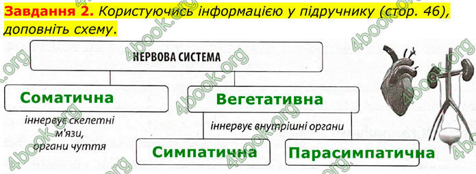 ГДЗ Робочий зошит біологія 8 клас Мирна (НУШ)