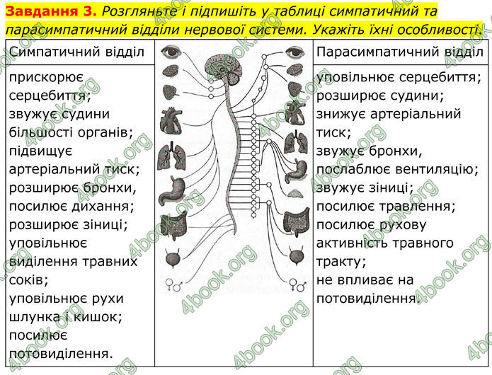 ГДЗ Робочий зошит біологія 8 клас Мирна (НУШ)